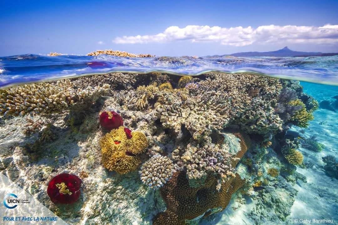 Отель Le Chissioua Sada Экстерьер фото